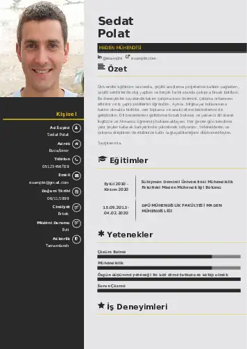 Maden Mühendisi Cv Örnekleri cv indir